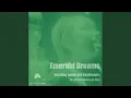 Lagu Emerald Dreams, Vol. 1 (Continuous Mix)
