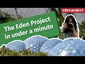 Exploring the Wonders of the Eden Project A Nature Lover s Guide to Cornwall