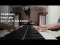 Swan Lake Act 1, no. 6: Pas d'action by Pyotr Ilyich Tchaikovsky