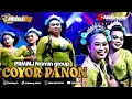 Download Lagu COYOR PANON//JAIPONG BADJIDORAN NAMIN GROUP