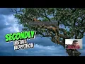 An Introduction To BioPython
