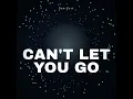 Can't Let You Go - Dan Port