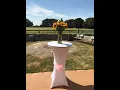 Mimi Wellness Event