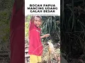 Download Lagu BOCAH PAPUA PANCING UDANG GALAH BESAR - PAPUAN BOY CATCHES HUGE GIANT FRESHWATER PRAWN
