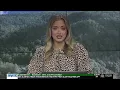 WYMT Mountain News at 5 30 Top Stories - June 26 2026