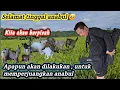 Download Lagu Melozi pulang kampung selamanya‼️