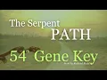 Gene Key 54 The Serpent Path This changed my life Are you ready 4 TRUTH genekeys