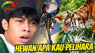 TAHAN EMOSI EPS.10~DAY 1 PELIHARA HEWAN ‼️