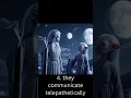 5 FACTS ABOUT NORDIC ALIENS