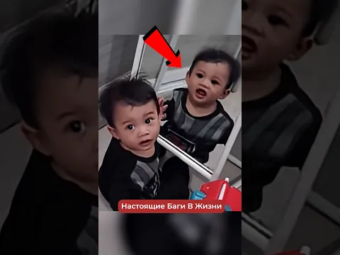 Баги В Реальной Жизни