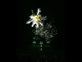 Download Lagu Anyma \u0026 Cassian - Move (Remix) @Sphere Las Vegas 2024 #melodictechno #anyma #afterlife #spherevegas