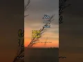Download Lagu Lagu lawas #viral #short  #nasehatdiri #shortvideo #shorts
