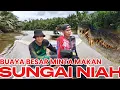 Lagu BUAYA BIKIN HATI GEMENTAR !!!!