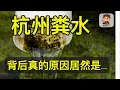 Download Lagu 杭州余杭水质问题真正的原因在这里！证据说话！什么警情通报都是鬼扯！｜ 杭州余杭自来水 ｜苕溪