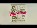 Magixx - Vibration feat. Jeriq (Lyric Video)