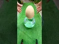 Download Lagu Hatching a Dino Egg!🤯
