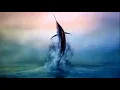 Download Lagu oldman and the sea - Tamil Language