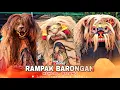 Download Lagu RAMPAK BARONGAN KENDAL -  BATANG ‼️ Live Taman Kota Weleri  #barongankendal