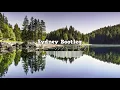 Post Malone - Candy Paint Caleb Webbs Bootleg FREE DOWNLOAD
