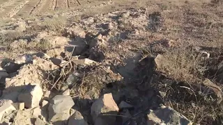 Кандай бак кылабыз?...