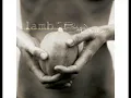 Lamb - Angelica