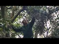 Download Lagu young man's life rising from poverty...