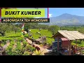 Download Lagu RUGI BELUM KESINI‼️ VIEW CANTIK DI BUKIT KUNEER