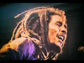 Bob marley - zion train  Live 80" HD