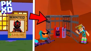 SEGREDOS QUE VOCÊ NÃO REPAROU NA NOVA ATUALIZAÇÃO ANIME NO PK XD