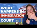 Immigration Court Explained Master Calendar vs Individual Hearing