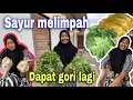 Download Lagu HARI INI BANYAK SAYUR YANG DI BUANG⁉️ DAPAT GORI PALING ENAK DI GULAI