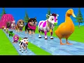 Download Lagu Long Slide Game With Cow Elephant Gorilla Hippopotamus Tiger 3d Animal Game Funny 3d Animals