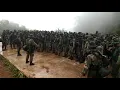 Download Lagu Yel - yel raja hutan
