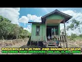 Download Lagu Pak karni dan mas topan perantau nekat asal jatim kerjakan lahan bikin gulutan rapi banget