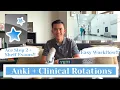 How To Set Up Update and Use AnKing Step 2 Deck for Clinical Rotations Simple M3 Workflow
