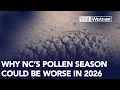 Pollen boom warmer spring leads to extended allergy season