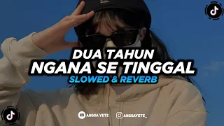 dj dua tahun ngana se tinggal slowed u0026 reverb 