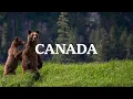 Download Lagu Exploring The Most Inaccessible Locations Of Canada