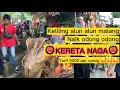 Download Lagu Odong alun malang || kereta naga || odong odong