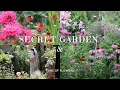 Download Lagu Summer Garden Tour 🌼 A Hidden Oasis Just 3 Minutes Away | Blooms That Brighten \u0026 Moments That Soothe