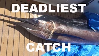 THE DEADLIEST CATCH: Crossing the Caribbean Sea – Chase the Story 28