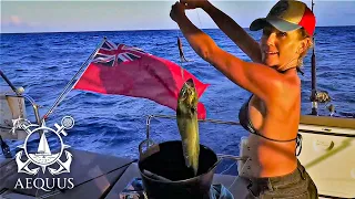 Philippa catches dinner!!: we arrive in the Exumas and surprise some friends | Episode 16.