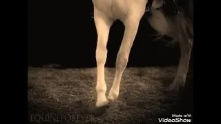 ركروكي شاب الوردي اروعة اغنية للحجز لكل افراحكم ومناسباتكم الاتصال على الارقم تالي 0675320929 