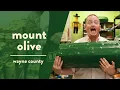 Mount Olive More Than Pickles