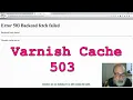 Varnish Cache 503