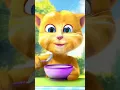 nyam nyam nyam 😽😽😽 #mytalkingtom #ginger #shorts