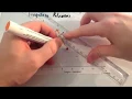 Frequency Polygons - Corbettmaths