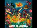 Agua De Jamaica