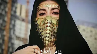 كومي واوكفي وارفعي البوشية فاضل عواد البوشيه دندنها