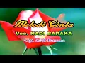 Download Lagu Nadi Baraka - Melodi Cinta (Original VCD Karaoke)